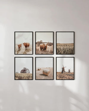 Highland Cow Art and Farmhouse Wall Decor Cow Wall Art and Farmhouse Pictures, 11 x 14 Unframed