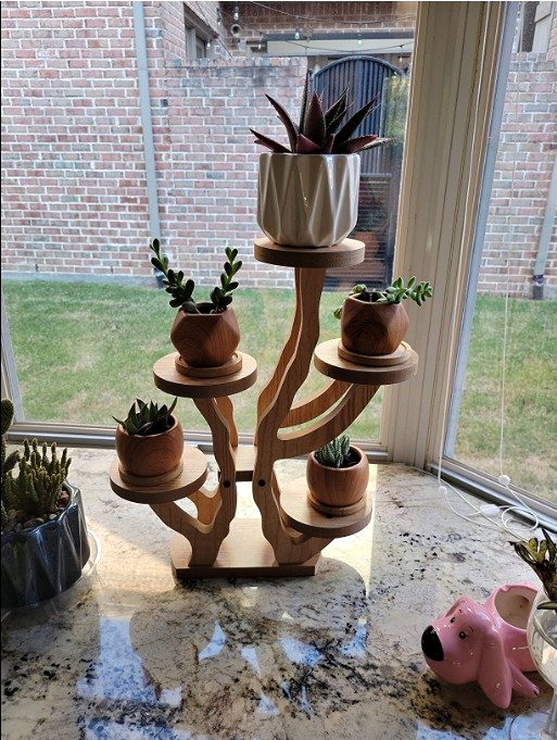 succulent stand indoor Tiered Plant Stands Succulent Pot Small Plant Shelf Stand for Indoor – Shop Premium