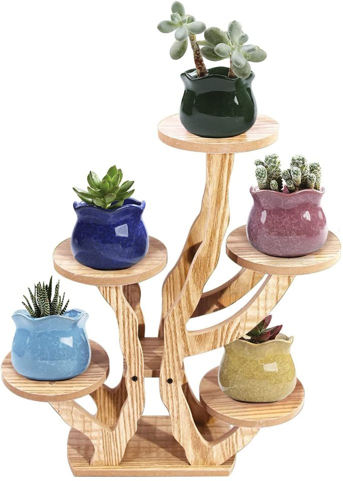 Tiered Plant Stands Succulent Pot Small Plant Shelf Stand for Indoor – Shop  Premium