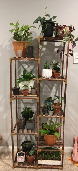 Corner Plant Shelf Flower Stands for Living Room Balcony and Garden (9 pots)