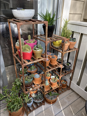 10 Tire Tall Large Wood Plant Shelf Multi Tier Flower Stands