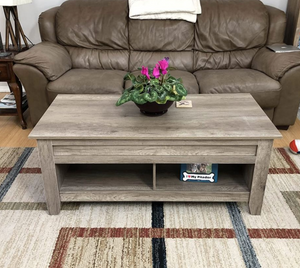 Lift Top Coffee Table with Hidden Storage Compartment & Lower Shelf, 41in L, Gray