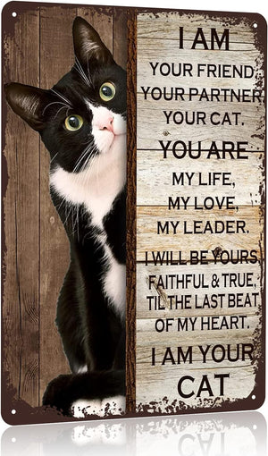 I Am Your Friend Your Companion Your Cat You Are My Life  Retro Black Cat Sign