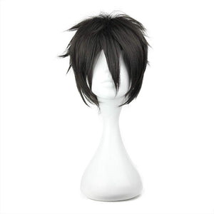 Cosplay Wigs Kirito Short Party Hair Black Male Games Movie Anime Synthetic Wigs, Black