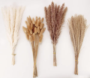 100 Stems Pampas Grass Contains Bunny Tails Dried Flowers, Reed Grass Bouquet for Wedding Boho Flowers Home Table Decor, Rustic Farmhouse Party (17", White and Brown)