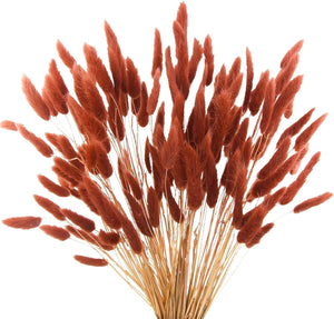 120pcs Burnt Orange Bunny Tails Dried Flowers,17" Dried Faux Pampas Grass Bulk Decor Fall Pampas Dried Boho Flowers Lagurus Ovatus Rabbit Bunny Tail Grass for Home Wedding Decor Crafts