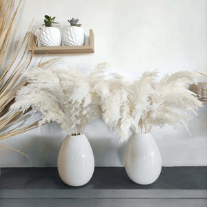 White Pampas Grass Fluffy, Boho Home Decor, Natural Fluffy Pompas Grass Natural Pampas for Living Room Decor, Table Decor, Boho Decor, Party Wedding Decor, Gift (17.7 inch, 30 White )