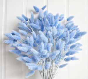 120 PCS Blue Dried Pampas Grass Decor, 17-inch Pompas Floral, Dry Flowers for Decoration, Pampas Grass in Bulk Tall, Blue Bunny Tails Dried Flowers for Boho Wedding Decor