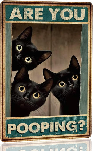 Black Cat Are You Pooping Funny Tin Signs Bathroom Wall Decor 8 x 12 Inch Sign