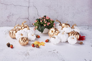 16 Pcs Assorted Fall Artificial Pumpkins Harvest White Faux Pumpkins and Gold Plating Pumpkins