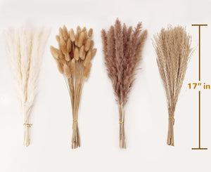 100 Stems Pampas Grass Contains Bunny Tails Dried Flowers, Reed Grass Bouquet for Wedding Boho Flowers Home Table Decor, Rustic Farmhouse Party (17", White and Brown)