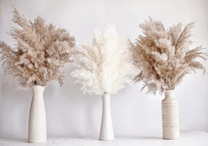 17-inch 30pcs Pampas Grass Decor, Boho Neutral Home Decor, Dried Flowers for Wedding Floral Arrangements Wall Farmhouse Bathroom Table Decor