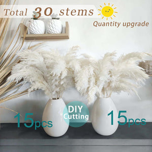 White Pampas Grass Fluffy, Boho Home Decor, Natural Fluffy Pompas Grass Natural Pampas for Living Room Decor, Table Decor, Boho Decor, Party Wedding Decor, Gift (17.7 inch, 30 White )