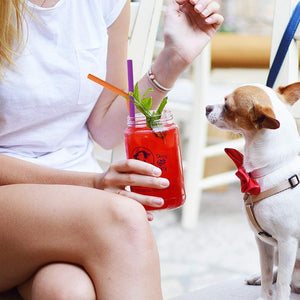 Reusable Silicone Straws, Long Flexible Silicone Drinking Straws with Cleaning Brushes for 30 oz Tumblers , 10 Pieces
