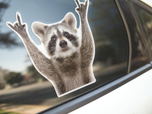 Rocking Raccoon Sticker, Funny Raccoon Cute Car Decal 5.5-Inches Decal