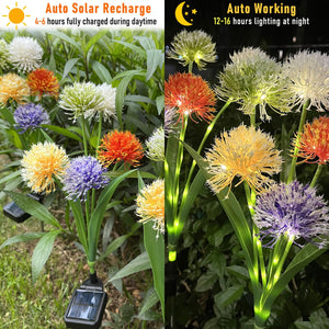 Solar Garden Lights Innovative Upgraded for Outside Waterproof Landscape Lighting/Pathway/Yard Décor