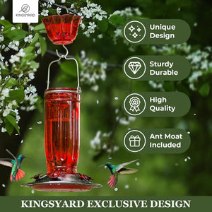 Glass Hummingbird Feeder for Outdoors Wild Bird Feeder with 6 Feeding Ports Hanging for Garden Yard, Red (Ant Moat Included)