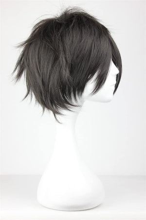 Cosplay Wigs Kirito Short Party Hair Black Male Games Movie Anime Synthetic Wigs, Black