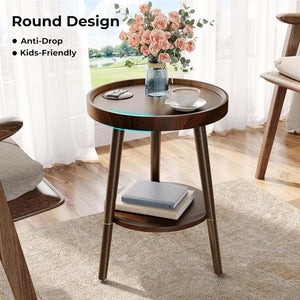 End Table with Charging Station, Round Side Table with Storage Shelf, Brown