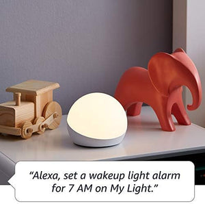 Echo Glow - Multicolor Smart Lamp