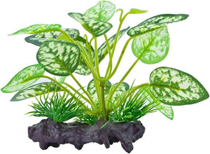 Terrarium Plants Decorations Supplies, Amphibian Habitat Hideout Tank Accessories