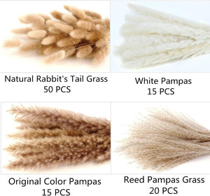 100 Stems Pampas Grass Contains Bunny Tails Dried Flowers, Reed Grass Bouquet for Wedding Boho Flowers Home Table Decor, Rustic Farmhouse Party (17", White and Brown)