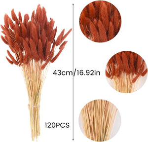 120pcs Burnt Orange Bunny Tails Dried Flowers,17" Dried Faux Pampas Grass Bulk Decor Fall Pampas Dried Boho Flowers Lagurus Ovatus Rabbit Bunny Tail Grass for Home Wedding Decor Crafts