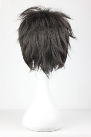 Cosplay Wigs Kirito Short Party Hair Black Male Games Movie Anime Synthetic Wigs, Black