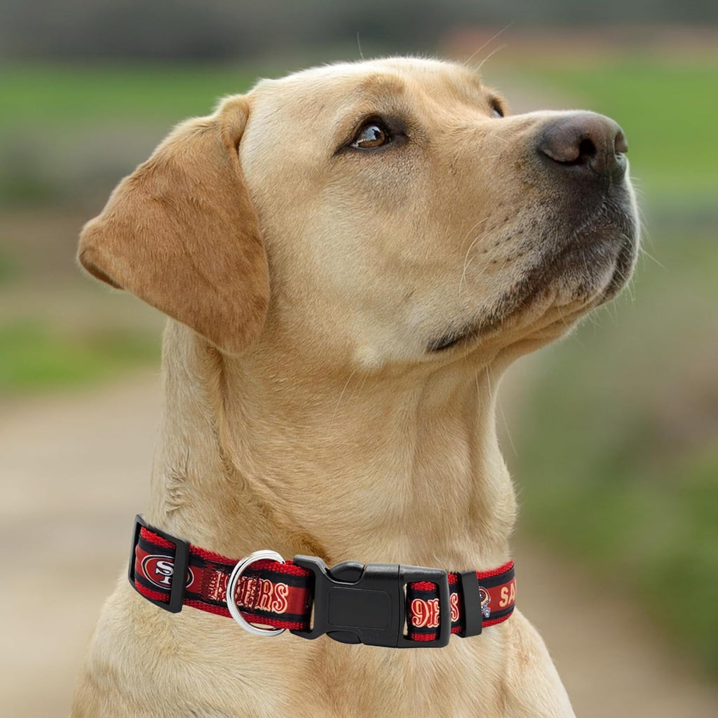 NFL Dog Collar San Francisco 49ers