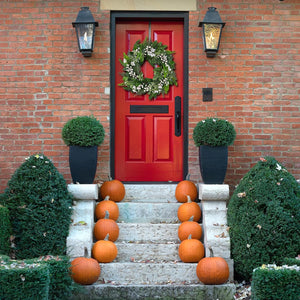 20 inch Spring Wreaths for Front Door with White Berries,Handmade Green Leaves Wreath for All Seasons