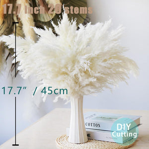 White Pampas Grass Fluffy, Boho Home Decor, Natural Fluffy Pompas Grass Natural Pampas for Living Room Decor, Table Decor, Boho Decor, Party Wedding Decor, Gift (17.7 inch, 30 White )