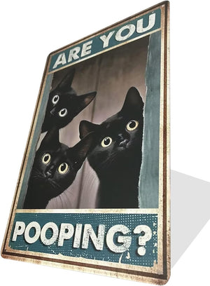 Black Cat Are You Pooping Funny Tin Signs Bathroom Wall Decor 8 x 12 Inch Sign