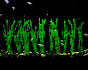 Artificial Seaweed Water Plants for Aquarium, Plastic Fish Tank Plant Decorations 10 PCS (Green)