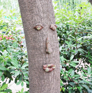 2 Inch Enlarged Tree Face Outdoor Statues Old Man Tree Hugger Bark Ghost Decoration