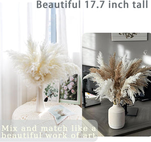White Pampas Grass Fluffy, Boho Home Decor, Natural Fluffy Pompas Grass Natural Pampas for Living Room Decor, Table Decor, Boho Decor, Party Wedding Decor, Gift (17.7 inch, 30 White )