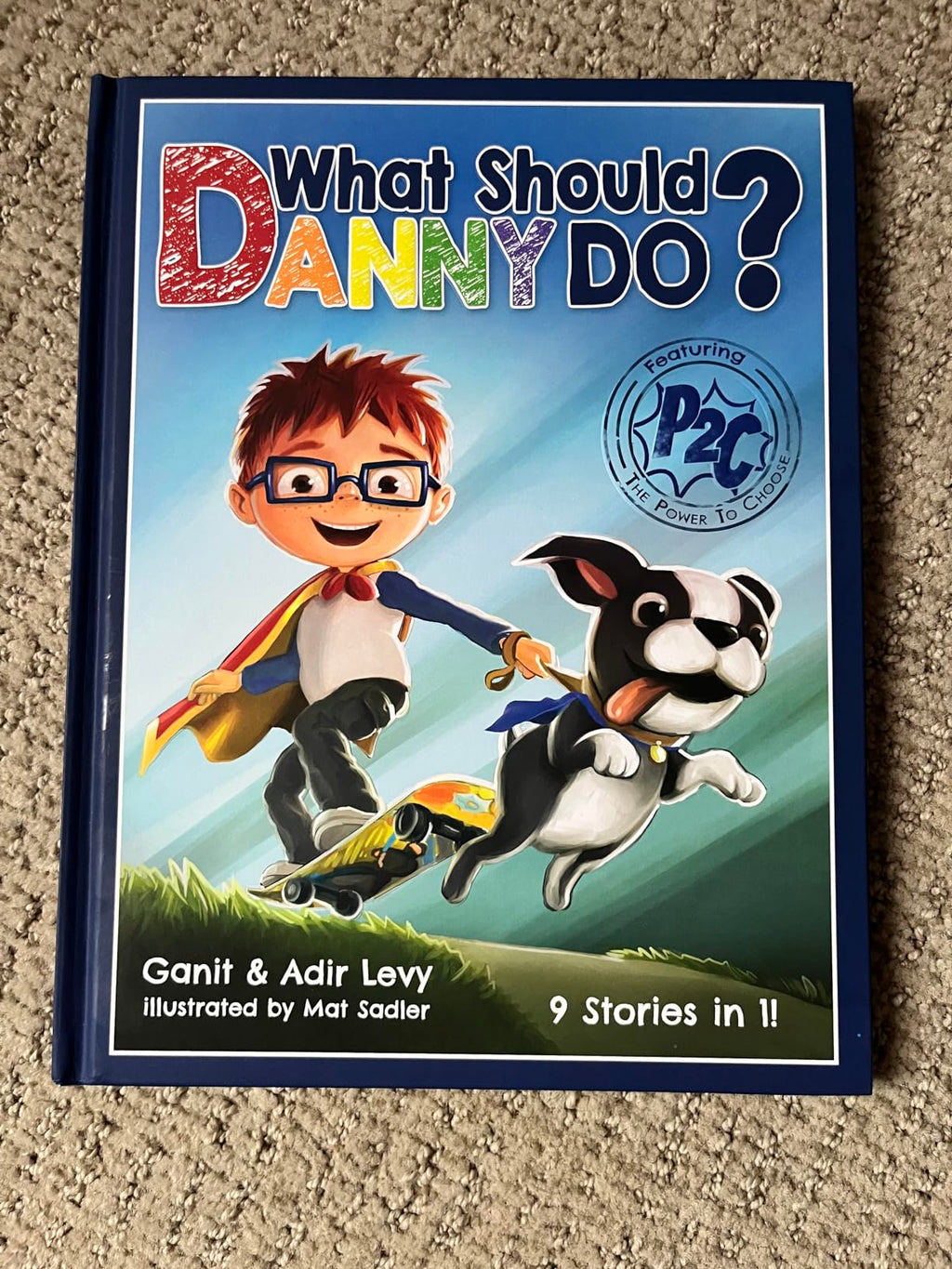 What Should Danny Do? (The Power to Choose Series) Hardcover