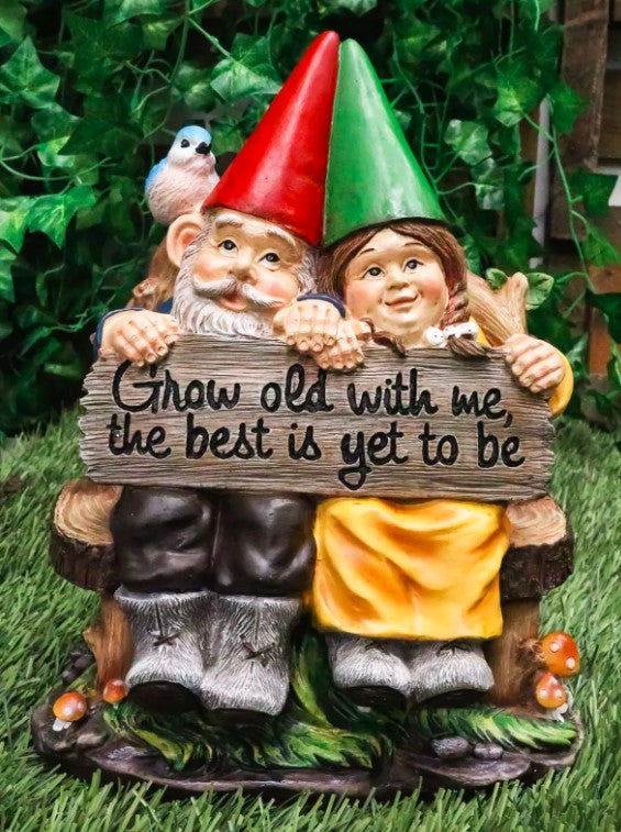 Grow Old With Me Whimsical Mr & Mrs Gnome Blue Bird Patio Statue Garden Greeter