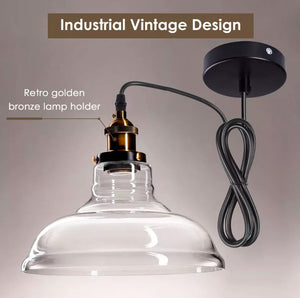 Industrial Pendant Lamp Chandelier Vintage Ceiling Light Glass Fixture