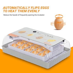 20 Digital Egg Incubator Chicken Hatcher Automatic Turning Temperature Control