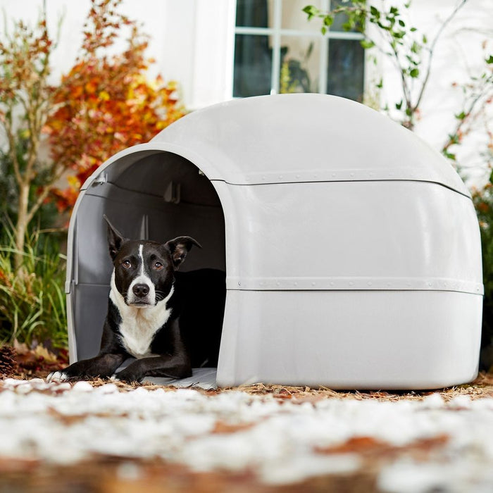 ⚡️NEW Dome Dog House