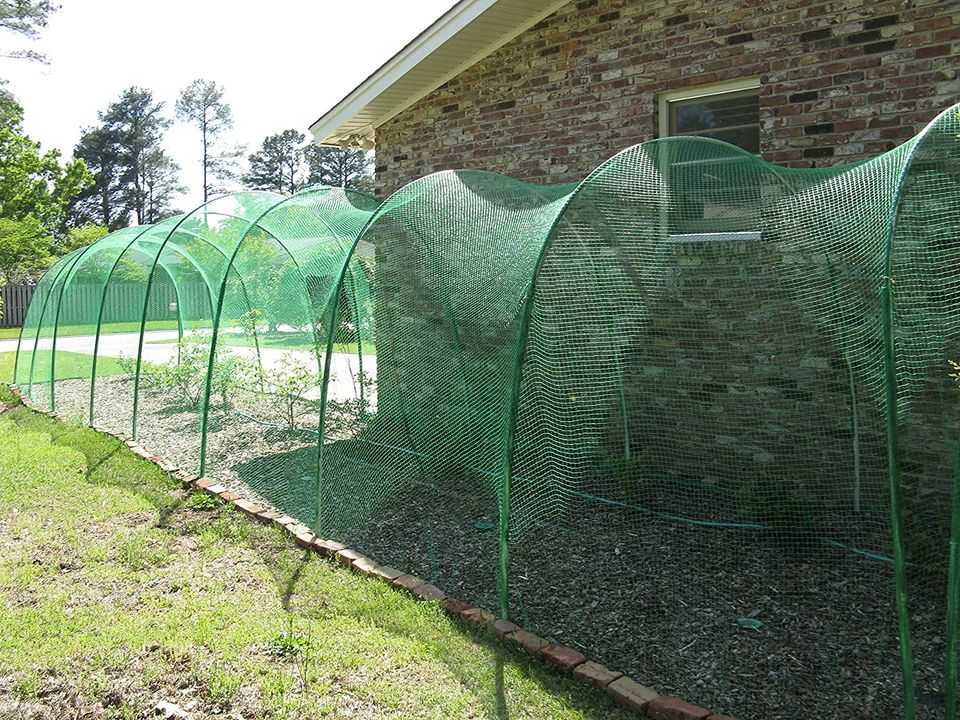 🏷️ON SALE❗️Reusable Bird Netting 13.12Ft x 16.4Ft with 50 Pcs Nylon Cable Ties