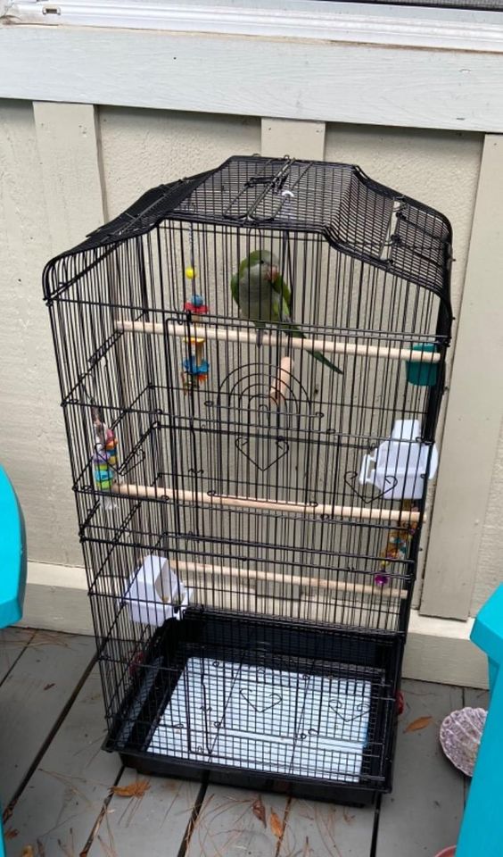 ⚡️NEW 📣36in Large Parakeet Bird Cage on Wheels for Budgies #9904 🌷