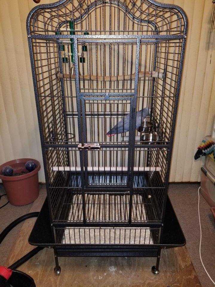 ⚡️NEW 📣 Extra Large Parrot Bird Cage Mini Macaw Cockatoo Cockatiels