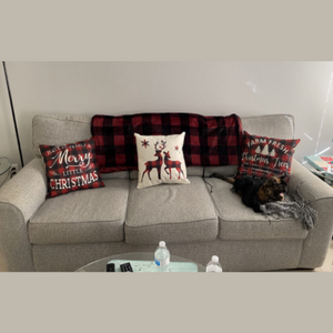 ⚡𝗡𝗲𝘄❗ Christmas Pillow Covers 18 x 18 Inch Set of 4