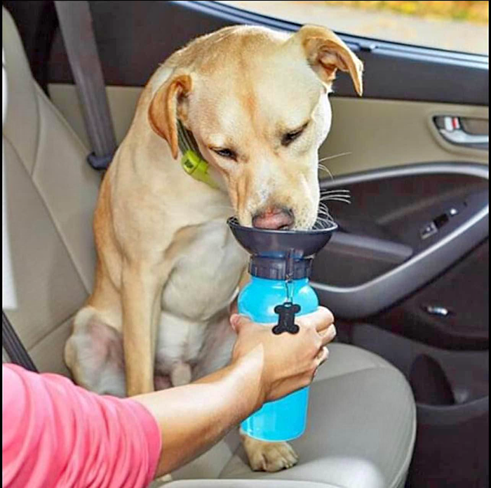 Dog cat pet Mug Portable Travel-bottle