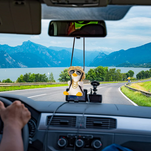 Swing Duck Car Hanging Ornament