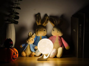 Moon Lamp Moon Light Night Light Touch Control Brightness 3D lamp with Stand