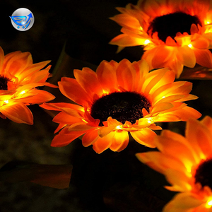 2Pack Garden Decorative Solar Lights