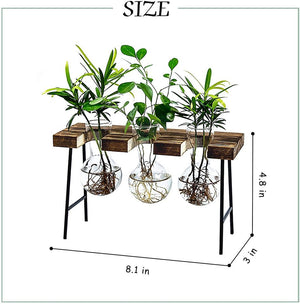 🔥CLEARANCE SALE🔥Desktop Propagation Stations Planter Glass Terrarium Bulb Vases with Wooden Stand
