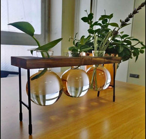 🔥CLEARANCE SALE🔥Desktop Propagation Stations Planter Glass Terrarium Bulb Vases with Wooden Stand